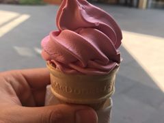红提圆筒-麦当劳(新达汇三林店)