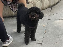 -哈尔滨文化公园