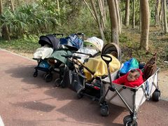 -桤木河湿地公园