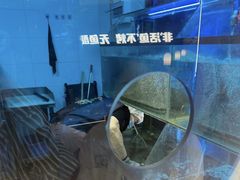 -鱼酷活鱼烤鱼(沈阳大悦城店)