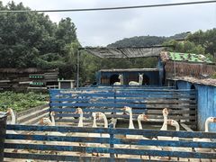 -宁波九龙湖开元度假村