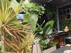 -野菌皇海景野生菌火锅(滨海大道店)