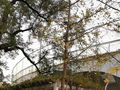 -北京八中游泳馆