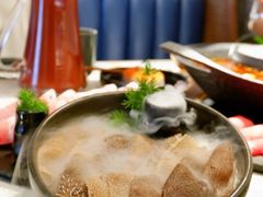 鲜毛肚-新辣道鱼火锅(西直门店)