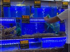 -河马鲜生海鲜超市(风荷园店)