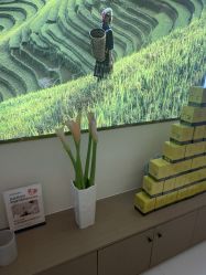 -头道汤头疗养生馆