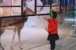 -酷嗒动物文化乐园(cutezoo西溪乐天城店)