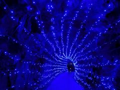 -融水老君洞景区