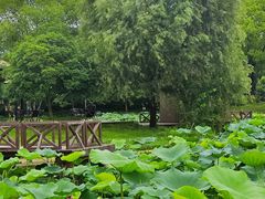 -美兰湖景区