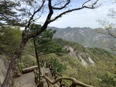-罗田天堂寨风景区