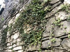 -高荡千年布依古寨旅游景区