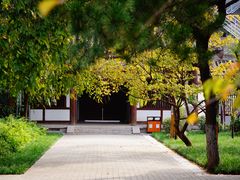 -西安青龙寺遗址景区