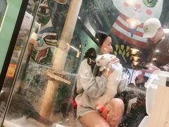 -猫咪博物馆(顶澳仔猫街店)