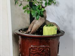 -逢春菜馆天津菜(胜利路店)