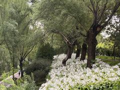 -元大都城垣遗址公园
