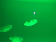 -福州罗源湾海洋世界旅游区