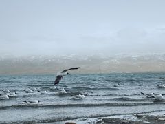 -青海湖国家重点风景名胜区