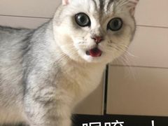 -星巴克(武汉湘隆时代广场店)