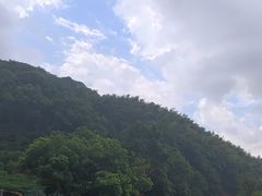 -北仑森林植物园