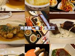 -玉芝兰(长发街店)