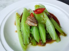 唐生菜-唐阁海景中餐厅·早茶·粤菜•生日聚餐(海口朗廷酒店)