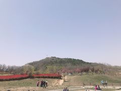 -浮山香苑