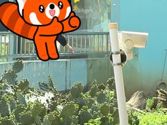 -无锡动物园·太湖欢乐园