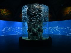 -波塞冬海底世界