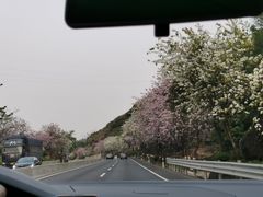 -广州市流溪河国家森林公园