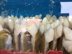 -蚝专家(北滘店)