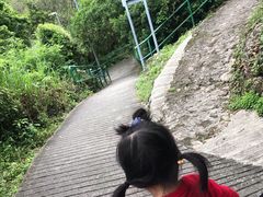 -南丫岛