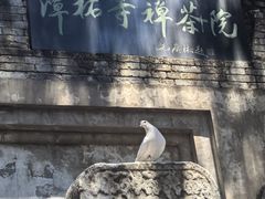 -潭柘寺景区