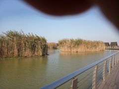 -滆湖低碳生态公园