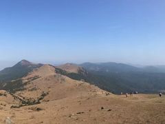 -大姆山草场