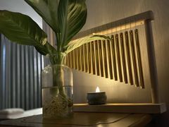 -净耳阁采耳文化体验馆(华强北店)