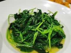 -沪碟·精菜坊(闵行店)