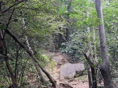 -杭州半山国家森林公园