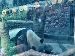 -黔灵山公园