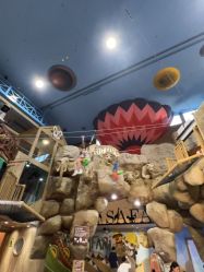 -卡通尼·Safari非洲探索乐园·生日会(金桥国际商业广场店)