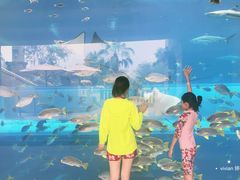 -亚特兰蒂斯水世界冒险乐园