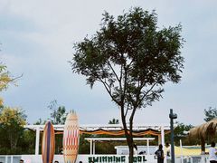 -爪吧宠物乐园·宠物泳池(温榆河示范区店)