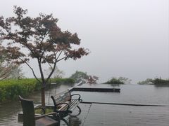 -江南天池