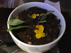 会长大的沙拉-绿茶餐厅(昌平悦荟店)