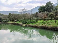 -树山生态村