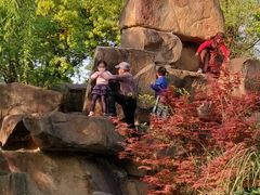 -杭州半山国家森林公园