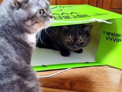 -千家粗粮王(MOMOPARK店)