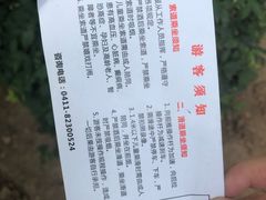-富斯特索道