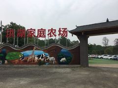 -洪湖家庭农场·团建·露营·会议