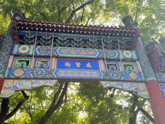 -北京国子监胡同