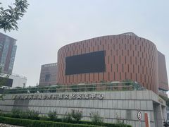 -中国宋庆龄青少年科技文化交流中心